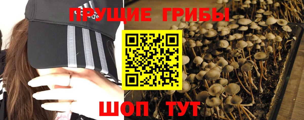 Галлюциногенные грибы Magic Shrooms  что такое наркотик  Костомукша  Вход с VPN 