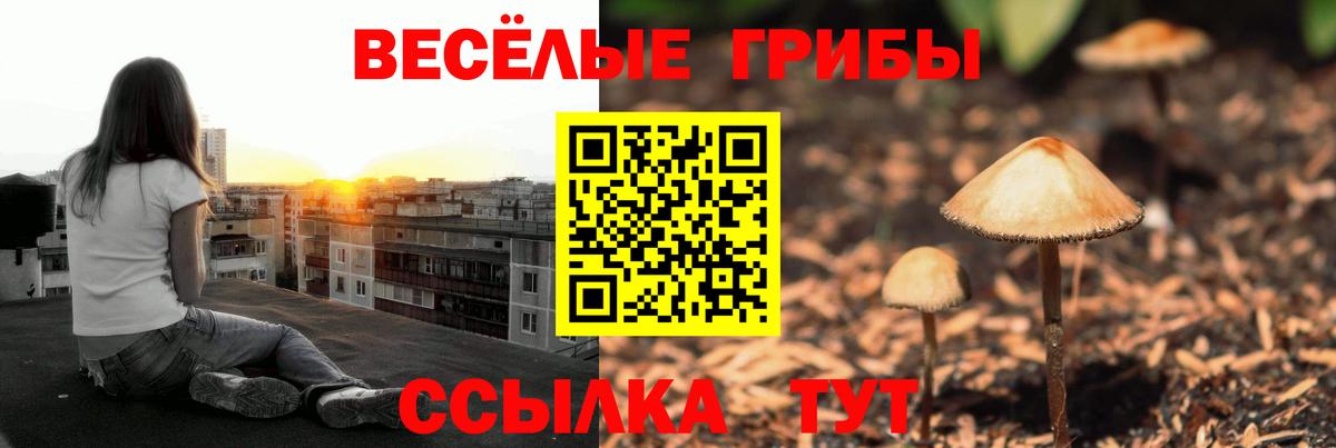 Псилоцибиновые грибы GOLDEN TEACHER Костомукша